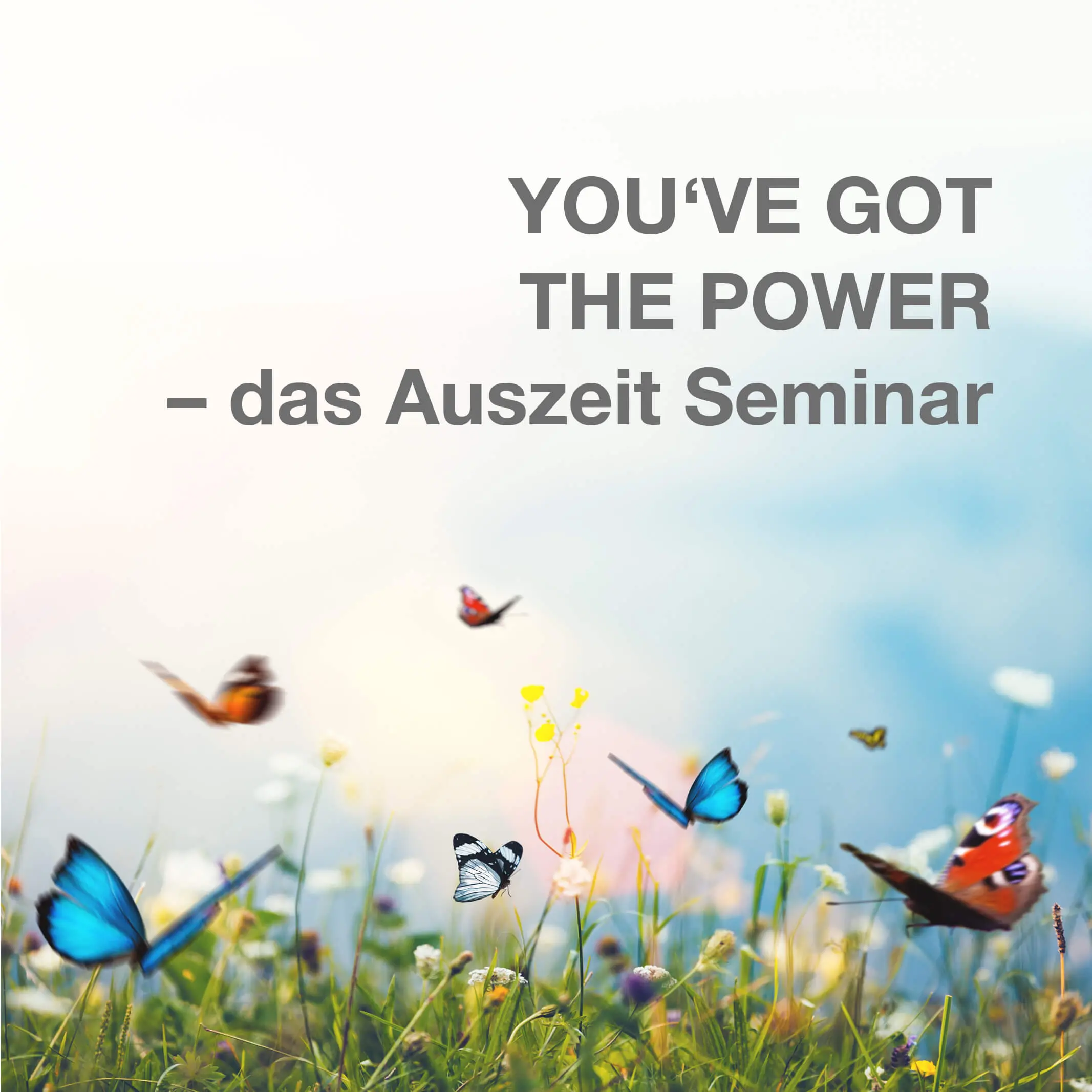 Coaching und Supervision für professionelle Nannies im Privathaushalt