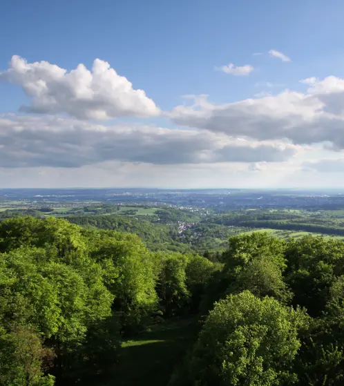 Nanny nach Frankfurt gesucht.