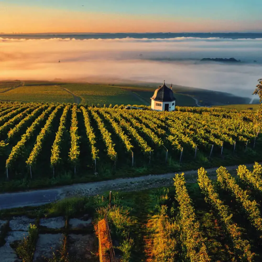 Frankfurt Nähe Nanny gesucht von Nannyagentur für Privathaushalt in Festanstellung