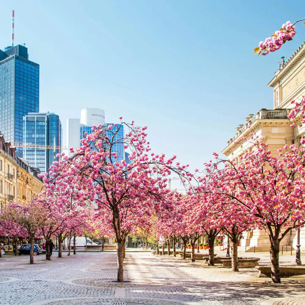 Frankfurt Seniorenassistenz gesucht von Hauspersonalagentur für Privathaushalt in Festanstellung