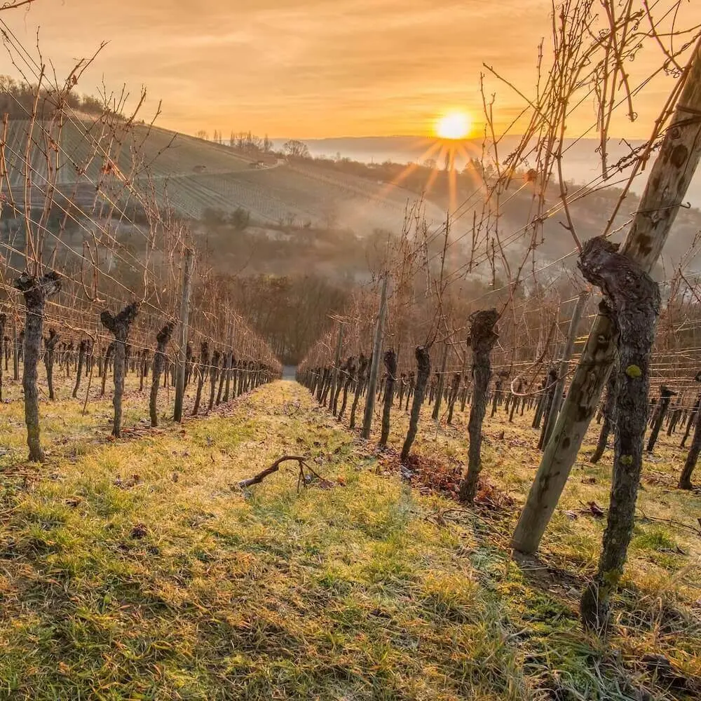 Plankstadt-heidelberg-baden-württemberg-säuglingsnanny-für‑den-privathaushalt-in-teilzeit-gesucht Plankstadt heidelberg baden württemberg säuglingsnanny für den privathaushalt in teilzeit gesucht