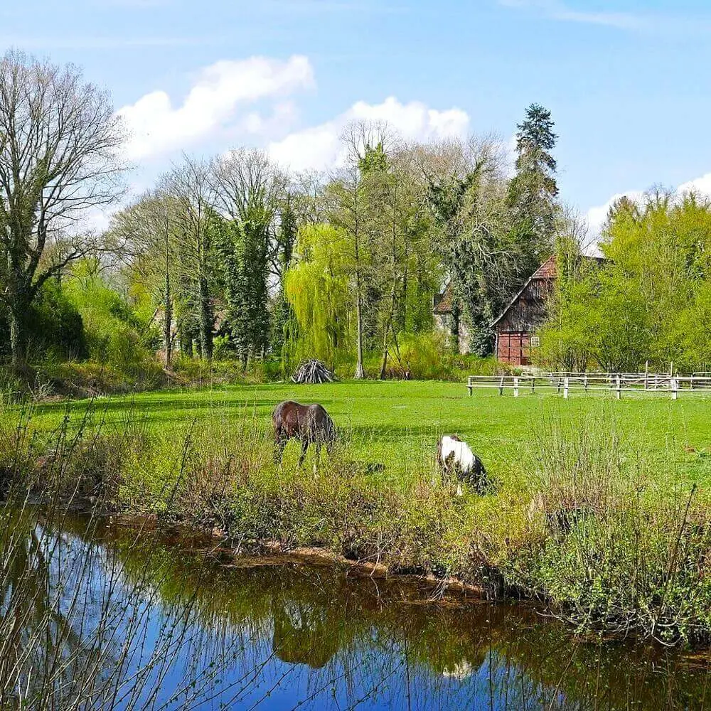 Kamp Lintfort Nordrhein Westfalen Hausmeister Hofbetreuer Gartenpfleger von Agentur für Hauspersonal gesucht