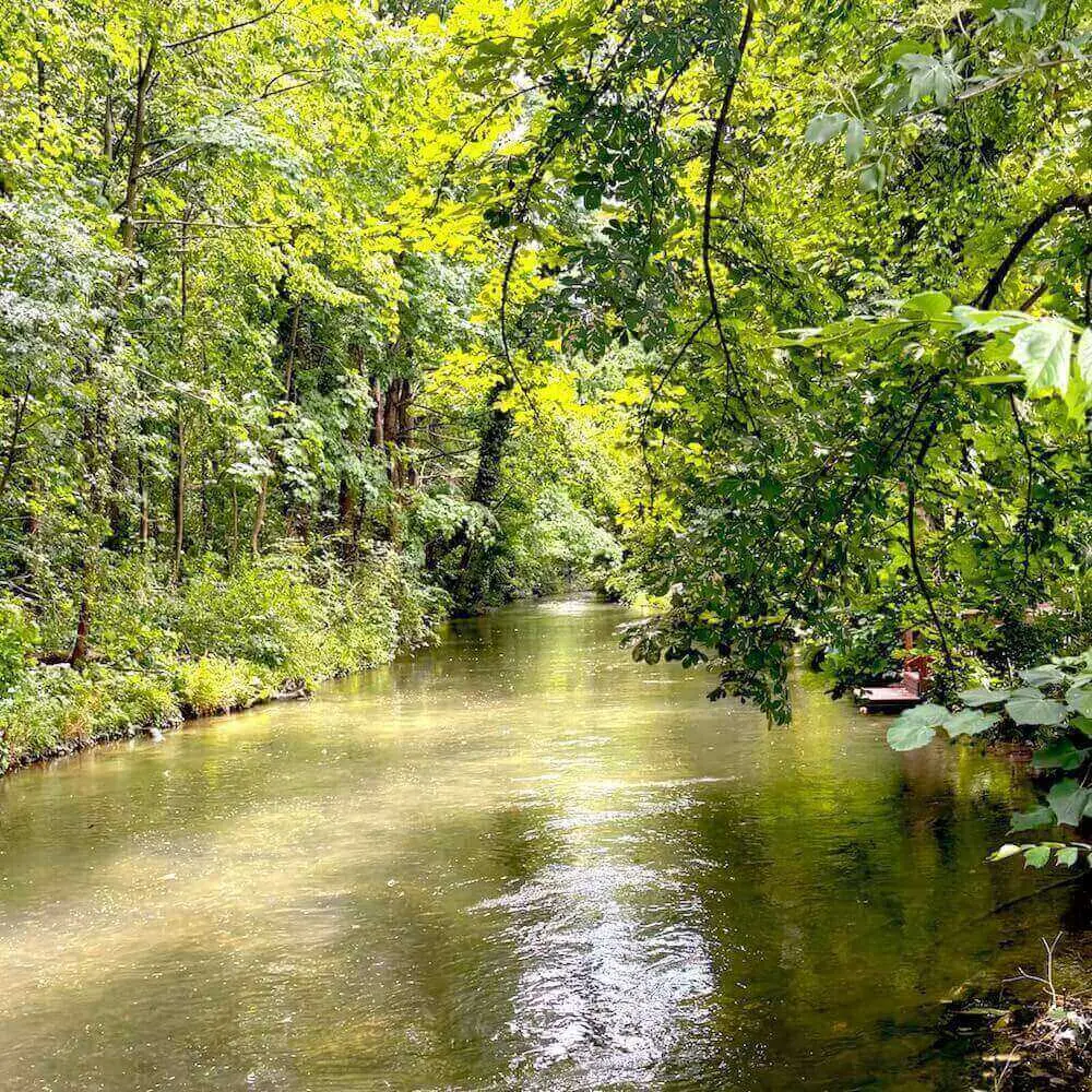 Bayern Muenchen Schwabing Nanny Agentur sucht Nanny Familienmanagerin für Privathaushalt ab sofort