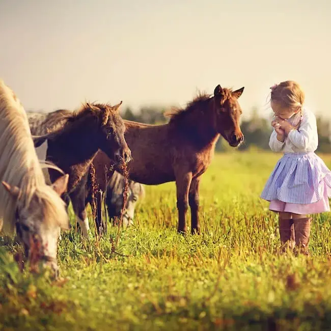 Nordrhein Westfalen Sauerland Arnsberg Familienmanagerin in live-in von Nanny4yourkid gesucht Nordrhein Westfalen Sauerland Arnsberg Familienmanagerin in live-in von Nanny4yourkid gesucht