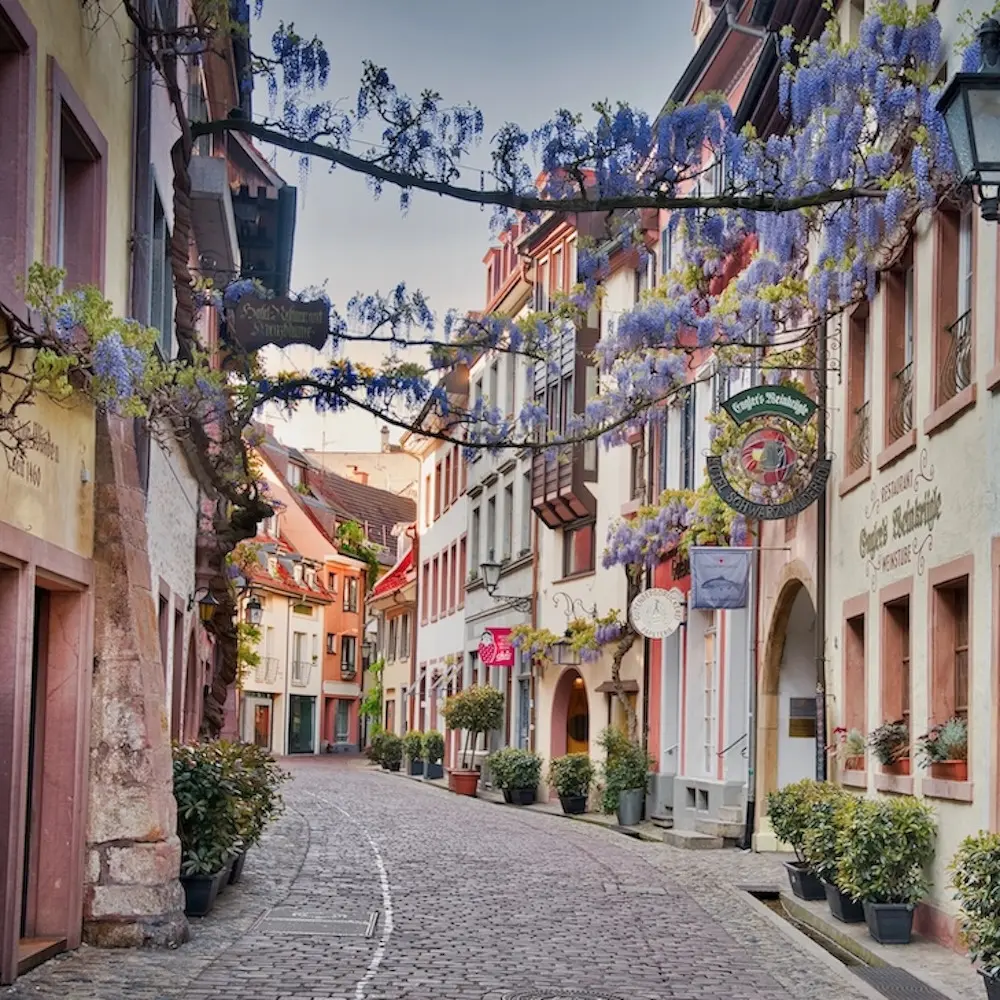 Schwarzwald-Freiburg-nanny-naturverbunden-gesucht-von-Nanny4yourkid