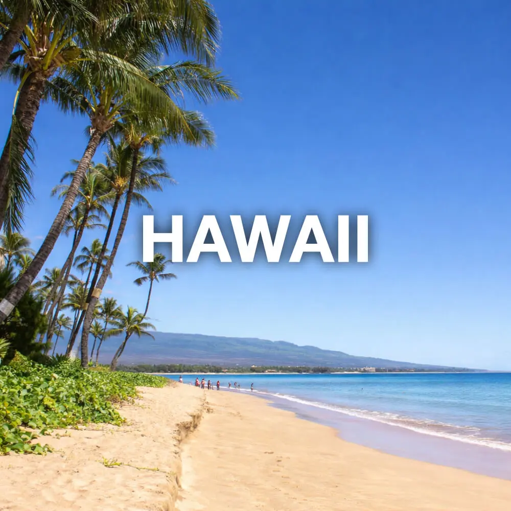 Hawaii Maui Lanai Kauai nanny wanted the leading nanny agency for professional and loving childcare infant care junior nanny high profile nanny travel nanny vip nanny maternity nurse family manager