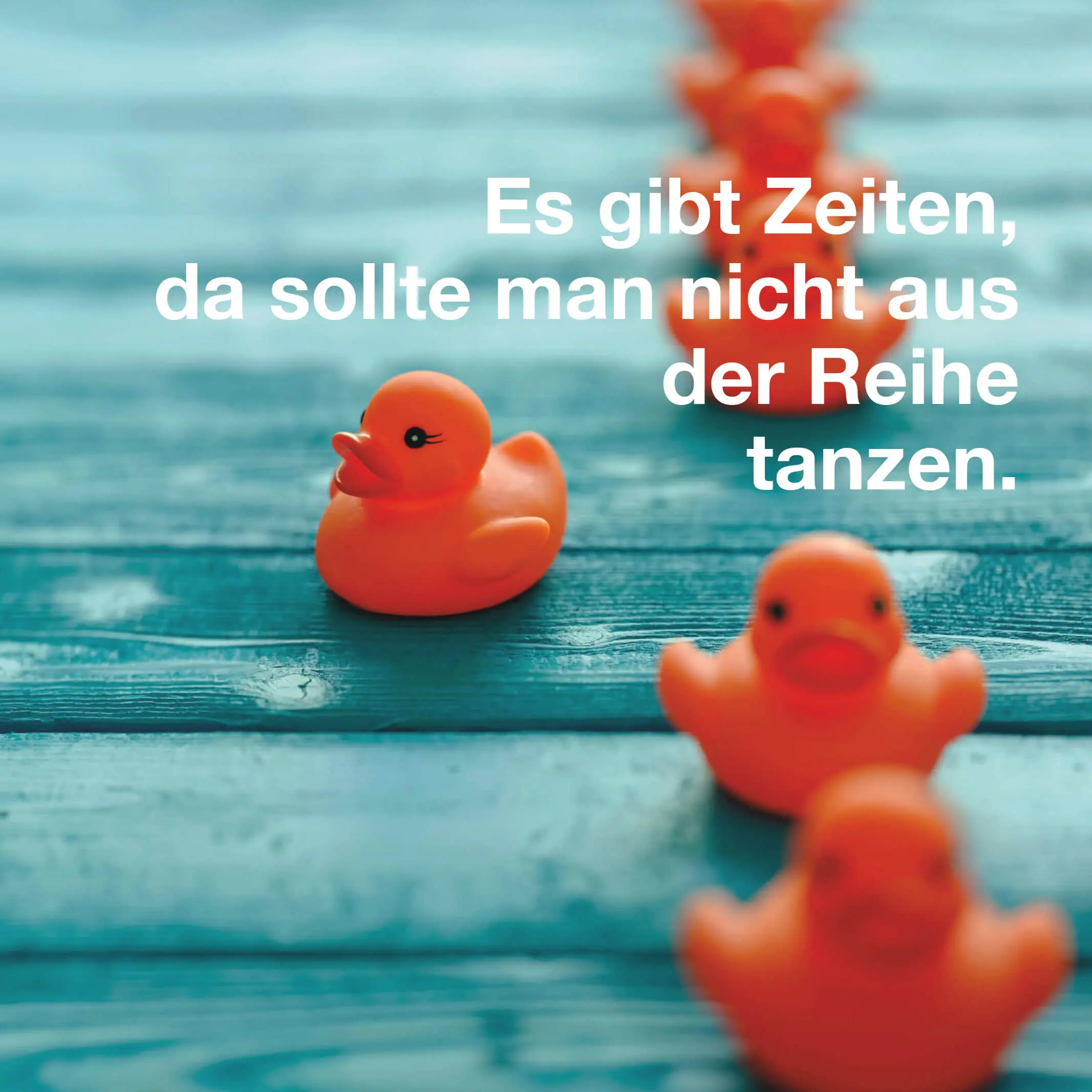 Es gibt Zeiten, da sollte man nicht aus der Reihe tanzen.