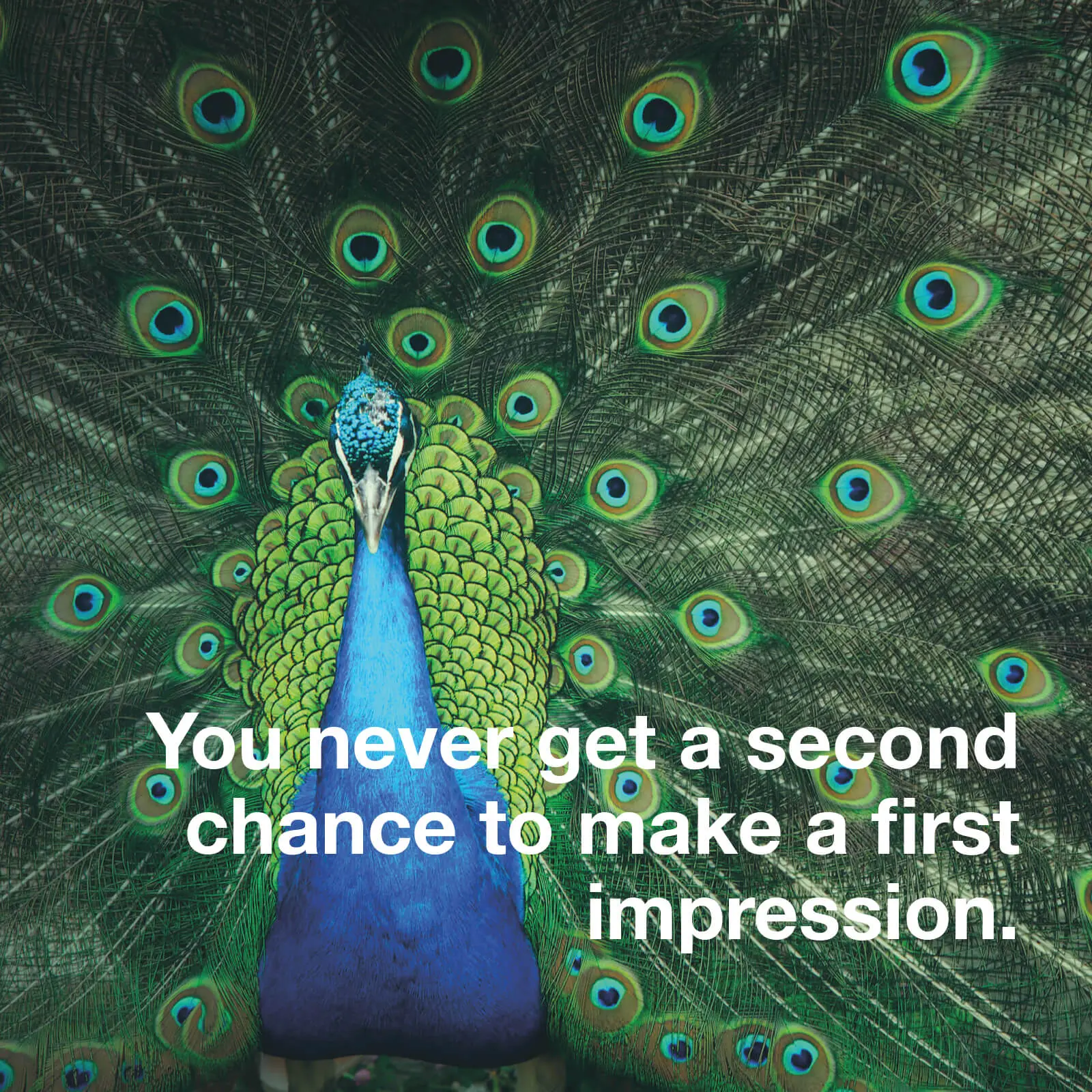 Bewerbung als N4YK Nanny