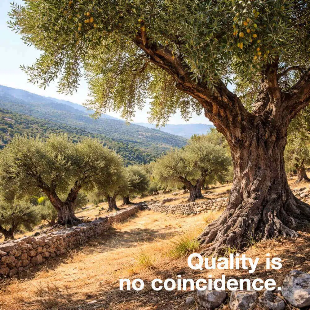 Choosing the best nanny agency is no coincidence level culture history education training style candidate pool academy job offers information experience maturity