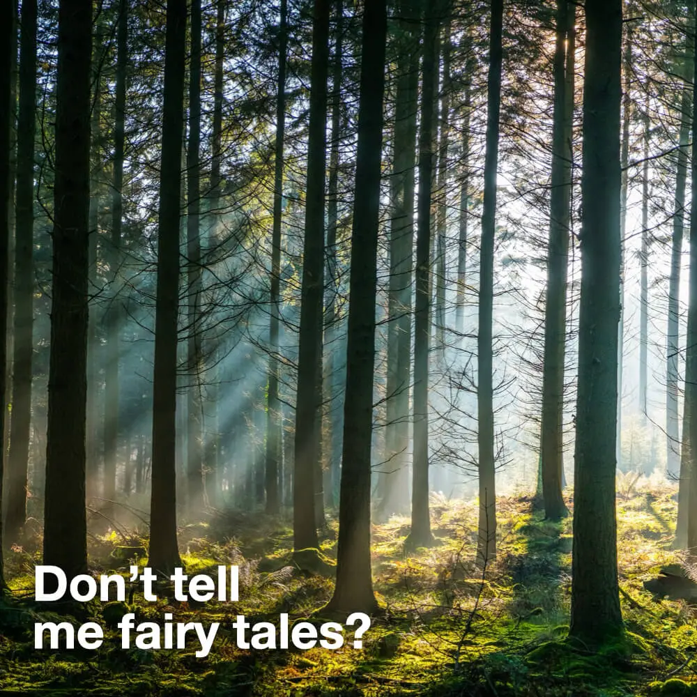 Fairy tales serve very well to develop emotional resilience in young children in order to evaluate decide weigh and anticipate