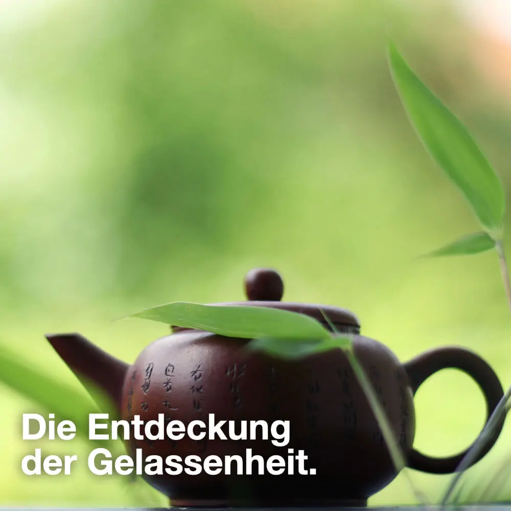 die High Profile Nanny die Familienmanagerin die für ein liebvolles entspanntes Familienleben sorgt.